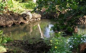 Piscina Natural On The Sea